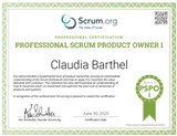 Certified Professional Product Owner